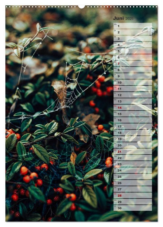 Produktbild: Kalender - Natur im Detail (Wandkalender 2026 DIN A2 hoch), CALVENDO Monatskalender