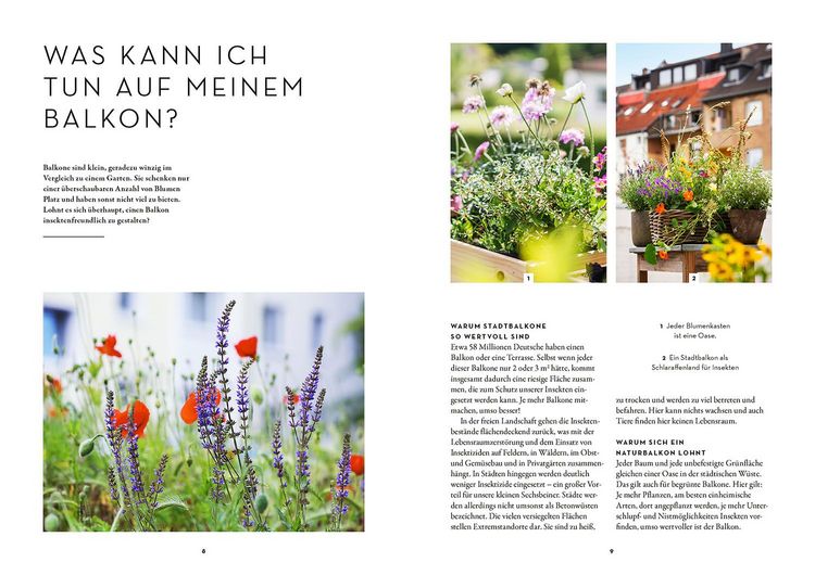 Produktbild: Dein Balkon summt!