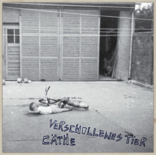 Produktbild: Verschollenes Tier