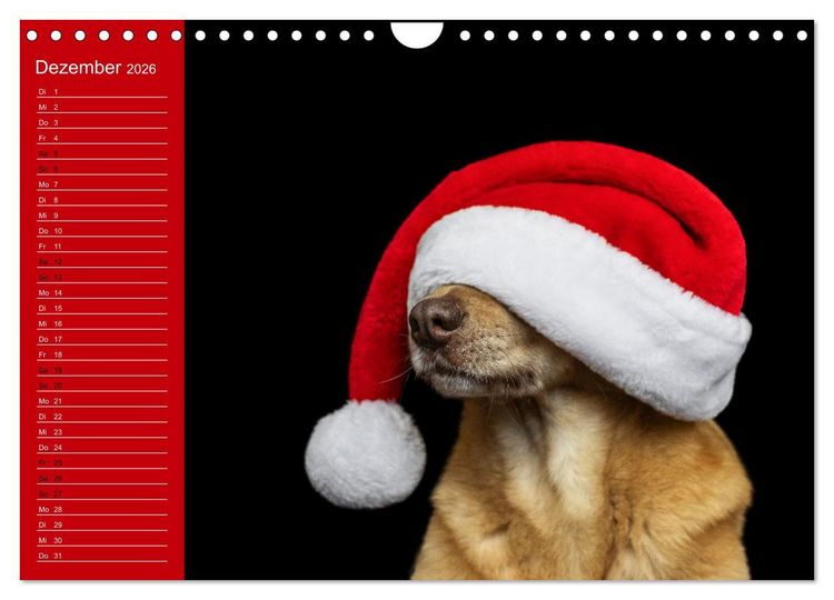 Produktbild: Hunde im Fokus (Wandkalender 2026 DIN A4 quer), CALVENDO Monatskalender