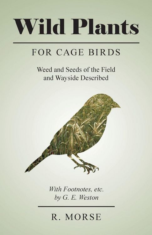 Produktbild: Wild Plants for Cage Birds - Weed and Seeds of the Field and Wayside Described - With Footnotes, etc., by G. E. Weston