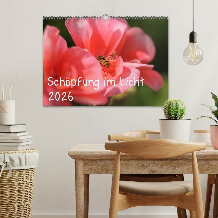 Produktbild: Sch&ouml;pfung im Licht (Wandkalender 2026 DIN A3 quer), CALVENDO Monatskalender
