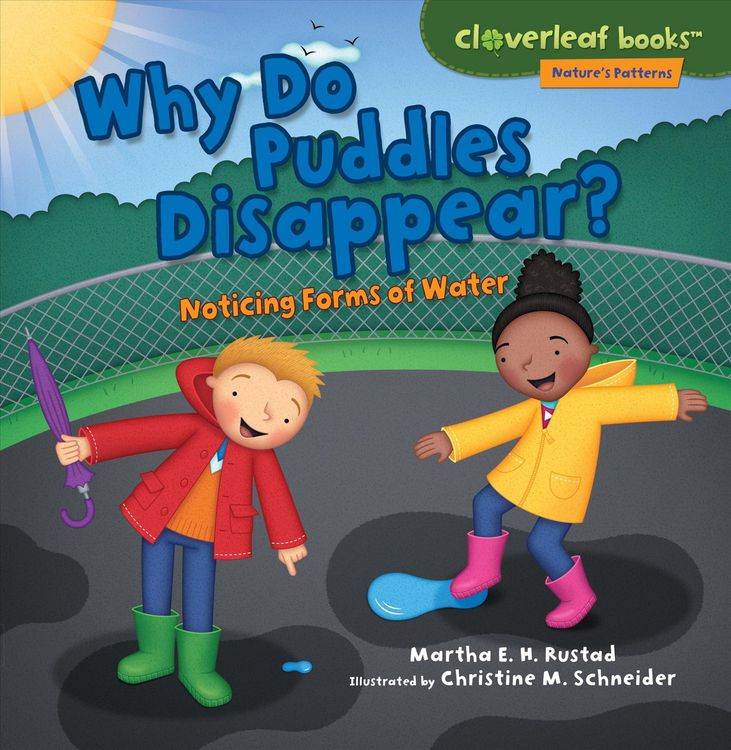 Produktbild: Why Do Puddles Disappear