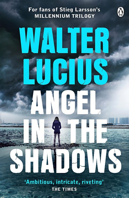 Produktbild: Angel in the Shadows