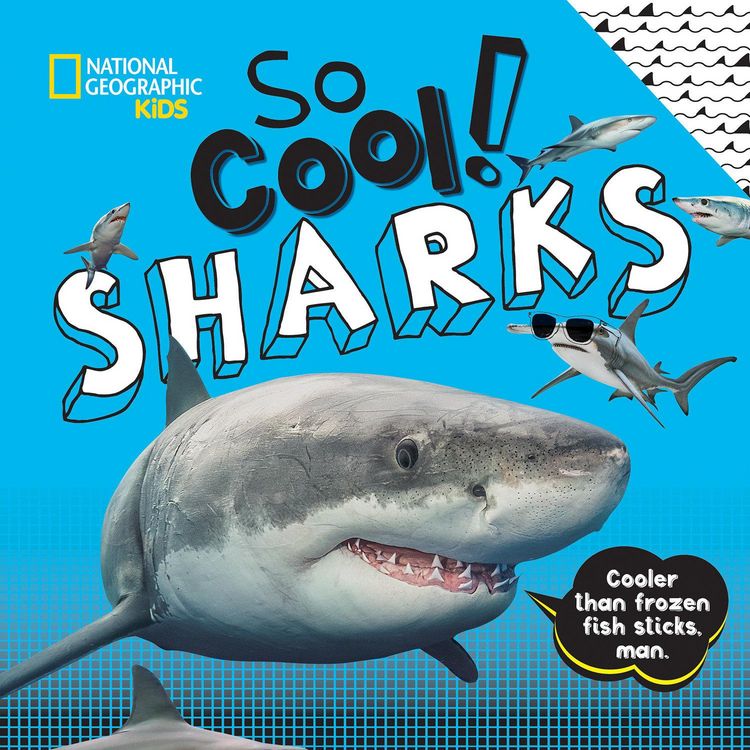 Produktbild: So Cool! Sharks