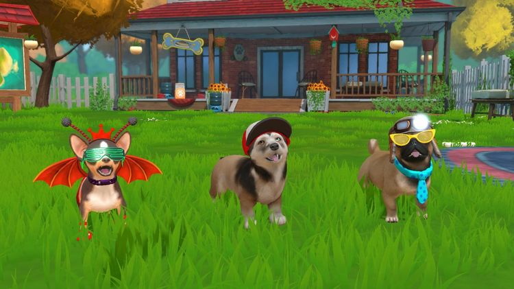 Produktbild: Little Friends - Puppy Island: Die Insel der Welpen (CIAB)