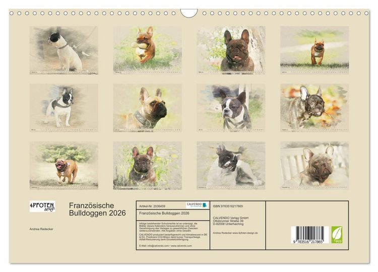 Produktbild: Franz&ouml;sische Bulldoggen 2026 (Wandkalender 2026 DIN A3 quer), CALVENDO Monatskalender