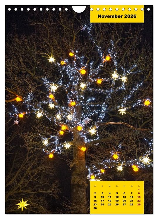 Produktbild: Stille Riesen (Wandkalender 2026 DIN A4 hoch), CALVENDO Monatskalender