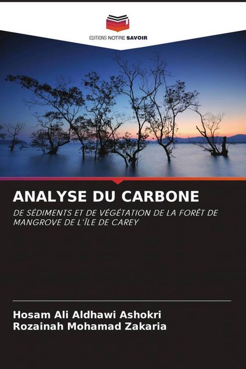 Produktbild: ANALYSE DU CARBONE