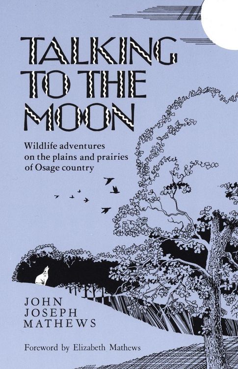 Produktbild: Talking to the Moon