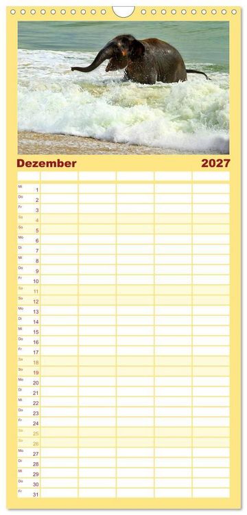 Produktbild: Familienplaner 2027 - Elefanten. Spa&szlig; am Wasser mit 5 Spalten (Wandkalender, 21 x 45 cm) CALVENDO