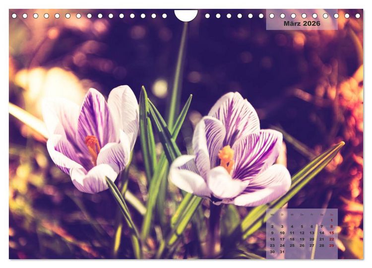 Produktbild: Bl&uuml;ten im Retro-Style (Wandkalender 2026 DIN A4 quer), CALVENDO Monatskalender