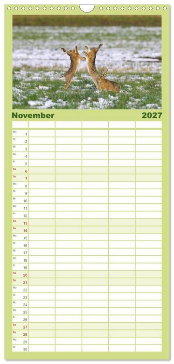 Produktbild: Familienplaner 2027 - Feldhasen in H&ouml;chstform mit 5 Spalten (Wandkalender, 21 x 45 cm) CALVENDO