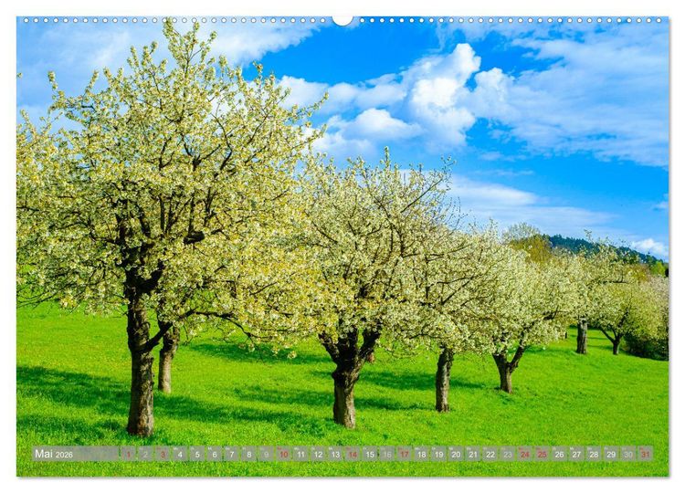 Produktbild: Ein Blick auf Witzenhausen (Wandkalender 2026 DIN A2 quer), CALVENDO Monatskalender