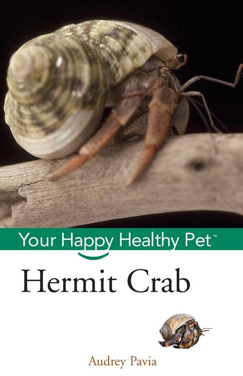 Produktbild: Hermit Crab