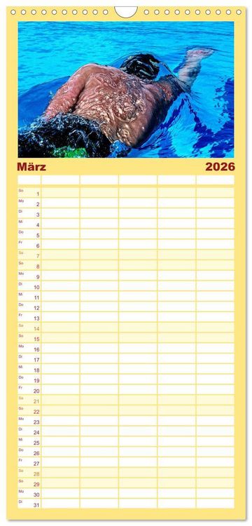 Produktbild: Familienplaner 2026 - TRIATHLON mit 5 Spalten (Wandkalender, 21 x 45 cm) CALVENDO