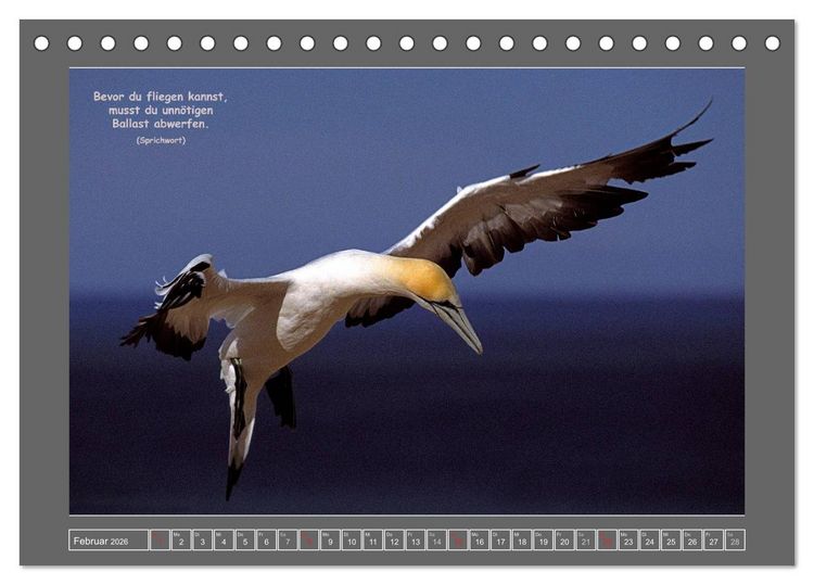 Produktbild: Naturwunder Neuseeland - in Bild und Text (Tischkalender 2026 DIN A5 quer), CALVENDO Monatskalender