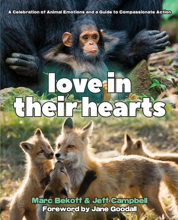 Produktbild: Love in Their Hearts