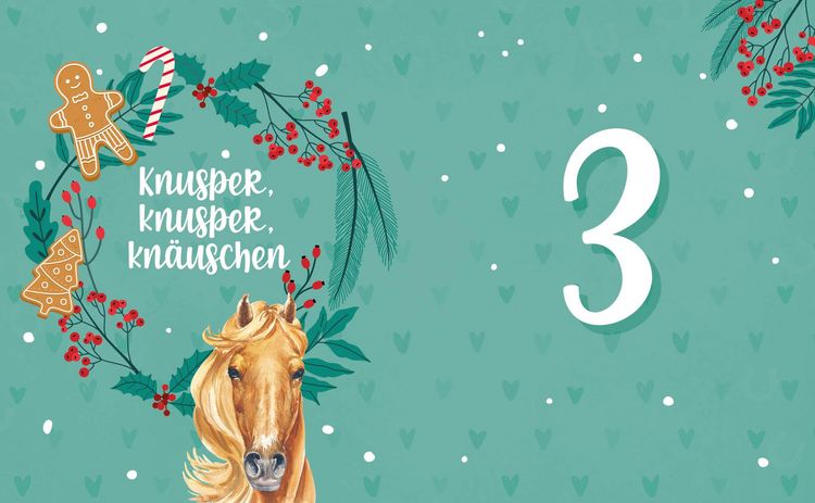 Produktbild: # ponylife &ndash; Mein Adventskalenderbuch &ndash; Von Lia und Lea