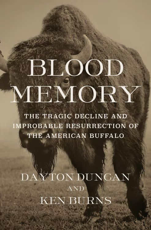 Produktbild: Blood Memory