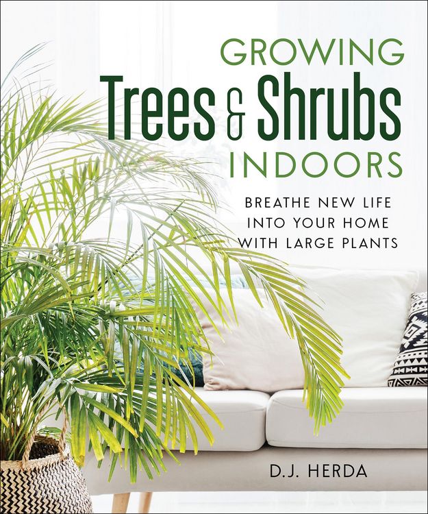 Produktbild: Growing Trees & Shrubs Indoors