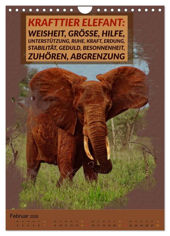 Produktbild: Afrikanische Krafttiere und deren Bedeutung (Wandkalender 2026 DIN A4 hoch), CALVENDO Monatskalender