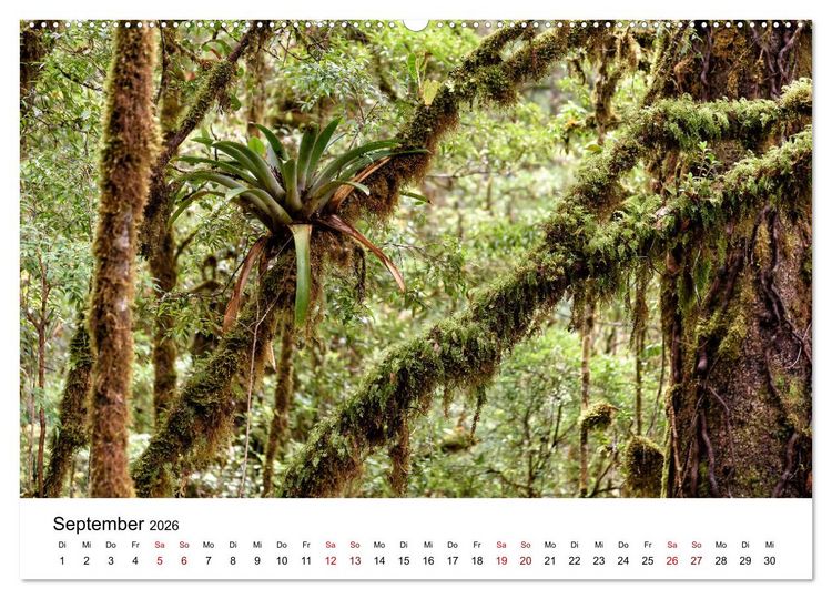 Produktbild: Costa Rica - das Naturparadies (hochwertiger Premium Wandkalender 2026 DIN A2 quer), Kunstdruck in Hochglanz