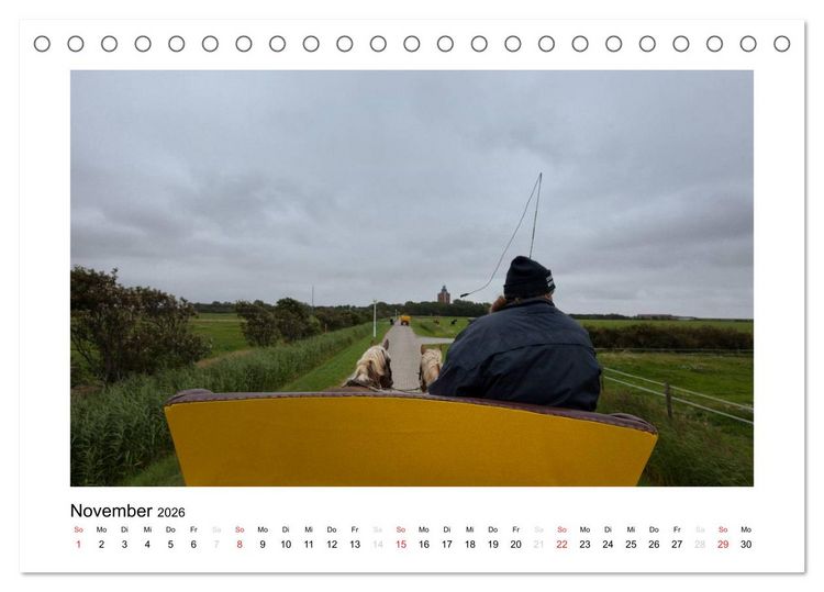 Produktbild: Die sch&ouml;ne Insel Neuwerk (Tischkalender 2026 DIN A5 quer), CALVENDO Monatskalender