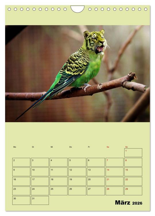 Produktbild: Seltsame Tiere - da stimmt doch was nicht... (Wandkalender 2026 DIN A4 hoch), CALVENDO Monatskalender