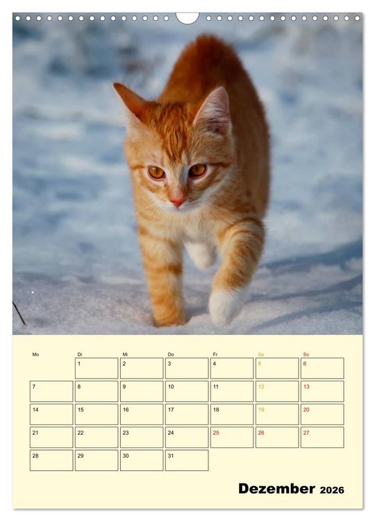 Produktbild: K&auml;tzchen - Theater (Wandkalender 2026 DIN A3 hoch), CALVENDO Monatskalender