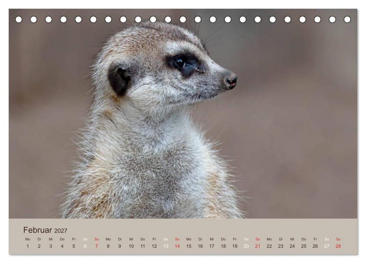 Produktbild: Quirlige Erdm&auml;nnchen (Tischkalender 2027 DIN A5 quer), CALVENDO Monatskalender