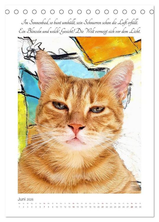 Produktbild: Katzenlyrik - Zw&ouml;lf Seelen auf Samtpfoten in Wort und Bild (Tischkalender 2026 DIN A5 hoch), CALVENDO Monatskalender