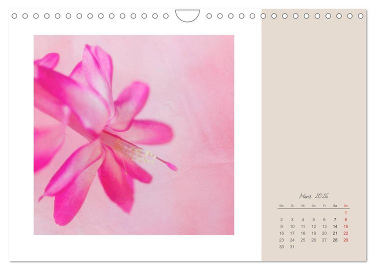 Produktbild: Bl&uuml;tentr&auml;ume (Wandkalender 2026 DIN A4 quer), CALVENDO Monatskalender