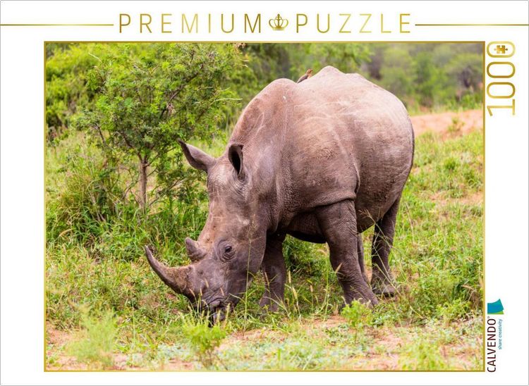 Produktbild: CALVENDO Puzzle Ich hab dich im Blick. | 1000 Teile Lege-Gr&ouml;&szlig;e 64x48cm Foto-Puzzle f&uuml;r gl&uuml;ckliche Stunden