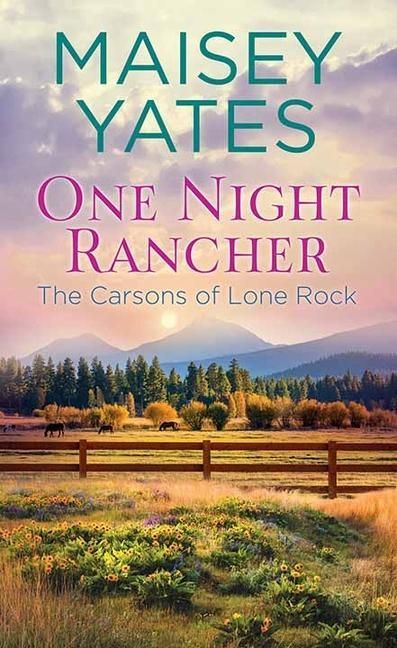 Produktbild: One Night Rancher