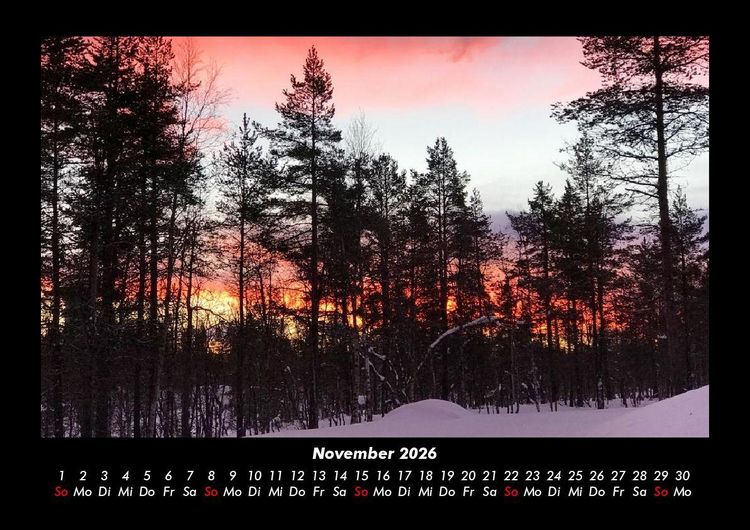 Produktbild: B&auml;ume 2026 Fotokalender DIN A3