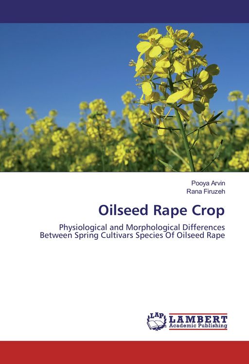 Produktbild: Oilseed Rape Crop