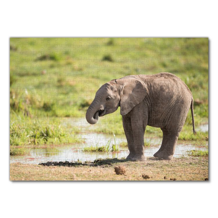 Produktbild: Lais Puzzle Junger afrikanischer Elefant 500 Teile
