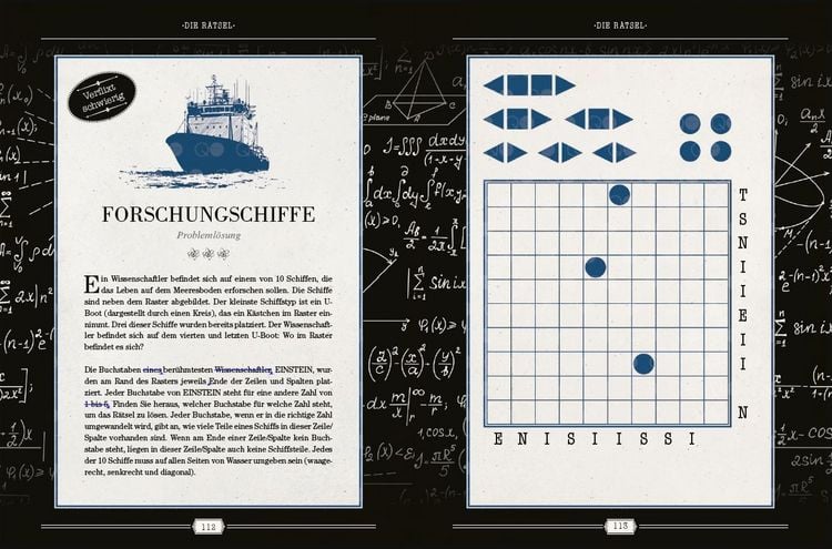 Produktbild: Einsteins Rätselbuch – Logikrätsel für geniale Köpfe