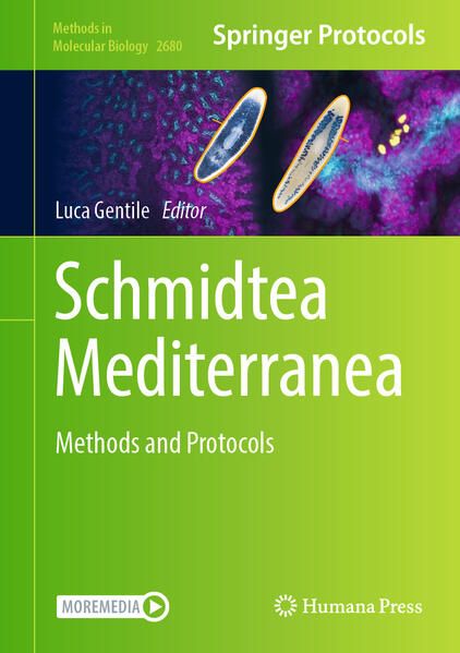 Produktbild: Schmidtea Mediterranea