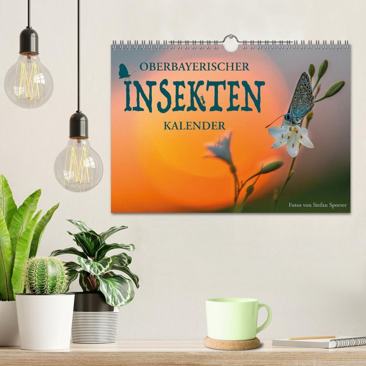 Produktbild: Oberbayerischer Insekten Kalender (Wandkalender 2026 DIN A4 quer), CALVENDO Monatskalender