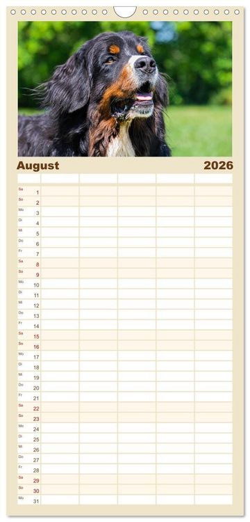 Produktbild: Familienplaner 2026 - Berner Sennenhund - Ein Freund auf vier Pfoten mit 5 Spalten (Wandkalender, 21 x 45 cm) CALVENDO