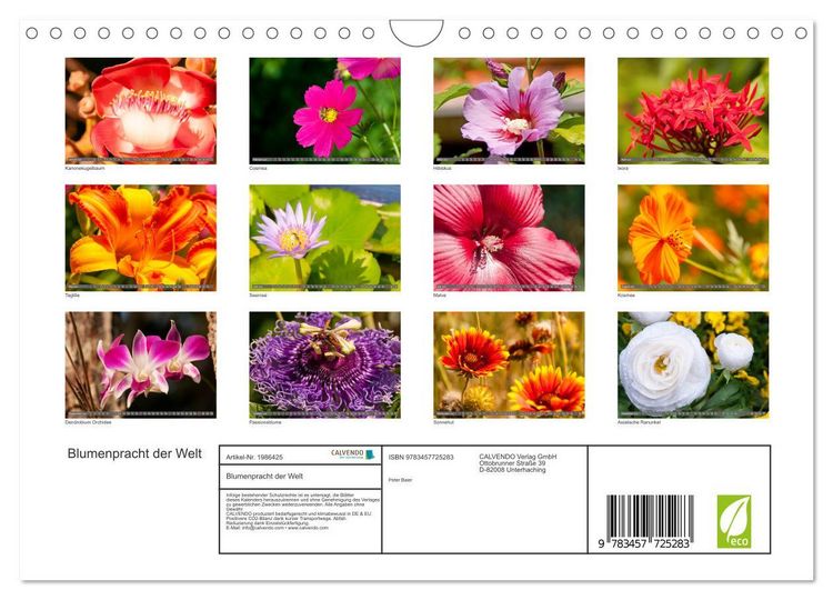 Produktbild: Blumenpracht der Welt (Wandkalender 2026 DIN A4 quer), CALVENDO Monatskalender