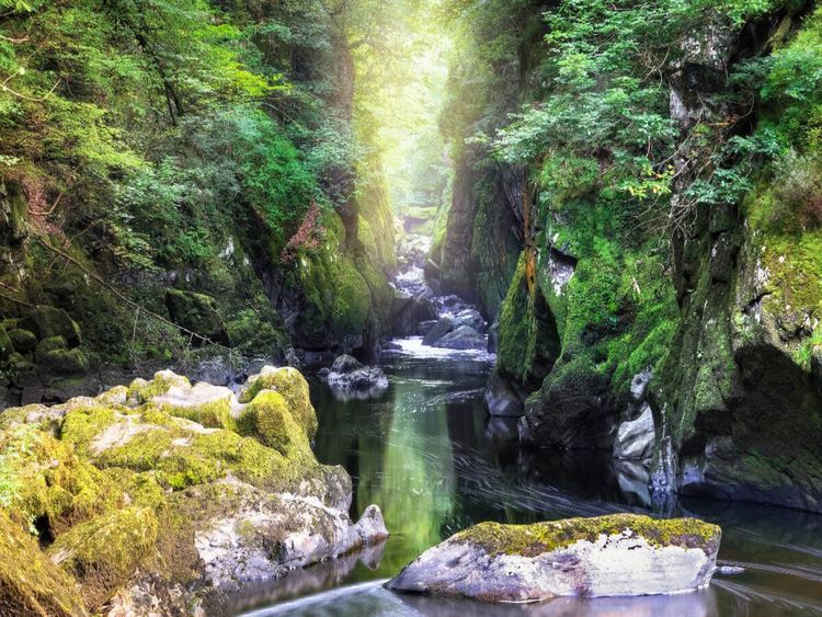 Produktbild: CALVENDO Puzzle Fairy Glen | 1000 Teile Lege-Gr&ouml;&szlig;e 64x48cm Foto-Puzzle f&uuml;r gl&uuml;ckliche Stunden