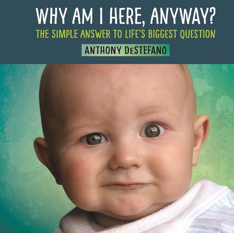 Produktbild: Why Am I Here, Anyway?