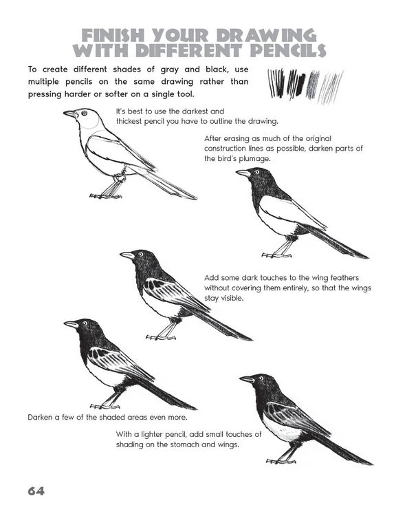 Produktbild: Drawing Animals