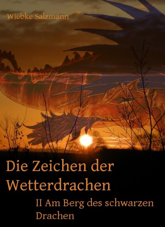 Produktbild: Die Zeichen der Wetterdrachen