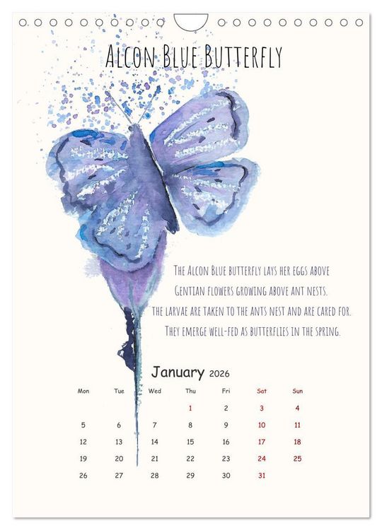 Produktbild: Symbiosis, the story of collaborations in nature (Wall Calendar 2026 DIN A4 portrait), CALVENDO 12 Month Wall Calendar