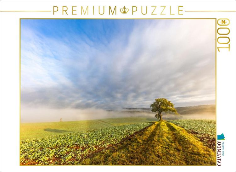 Produktbild: CALVENDO Puzzle Ein Motiv aus dem Kalender Bunter Pf&auml;lzerwald | 1000 Teile Lege-Gr&ouml;&szlig;e 64x48cm Foto-Puzzle f&uuml;r gl&uuml;ckliche Stunden