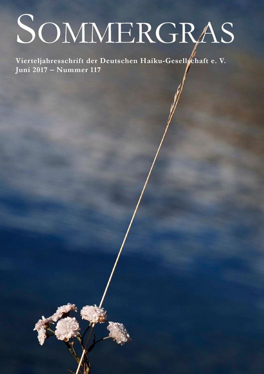 Produktbild: Sommergras 117